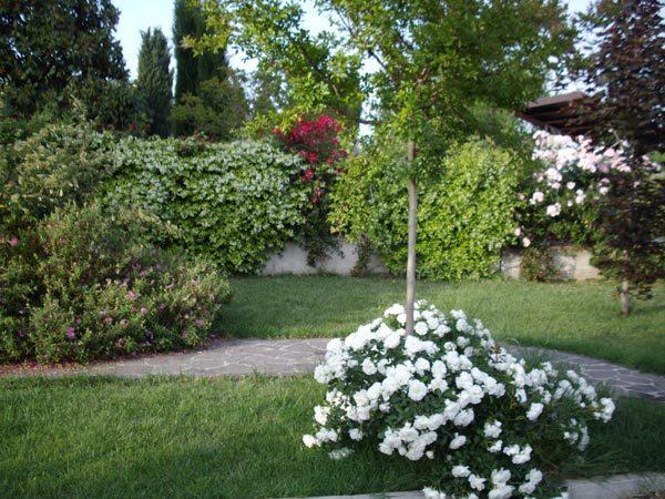 Bed and Breakfast La Magnolia - Fano Zewnętrze zdjęcie