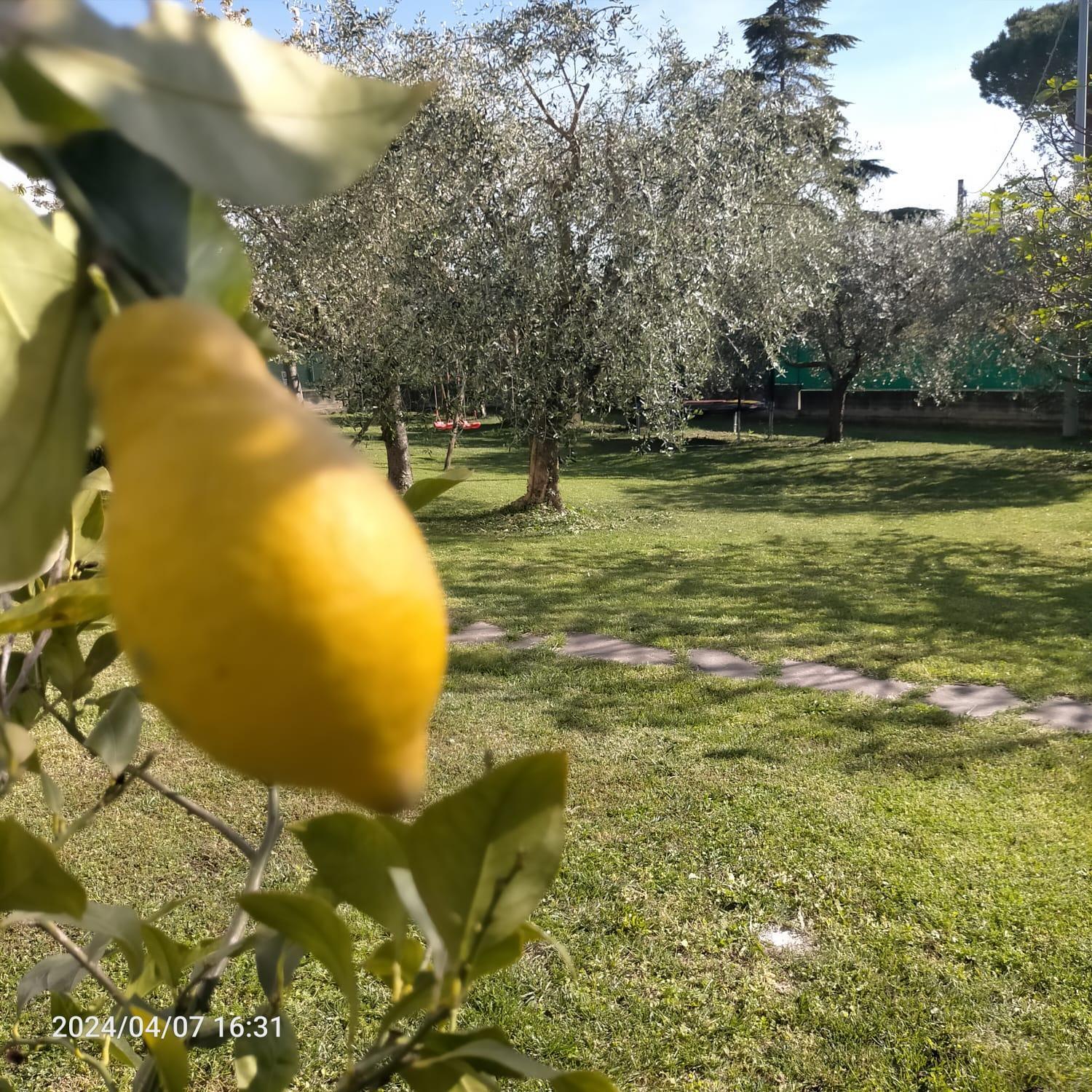 Bed and Breakfast La Magnolia - Fano Zewnętrze zdjęcie
