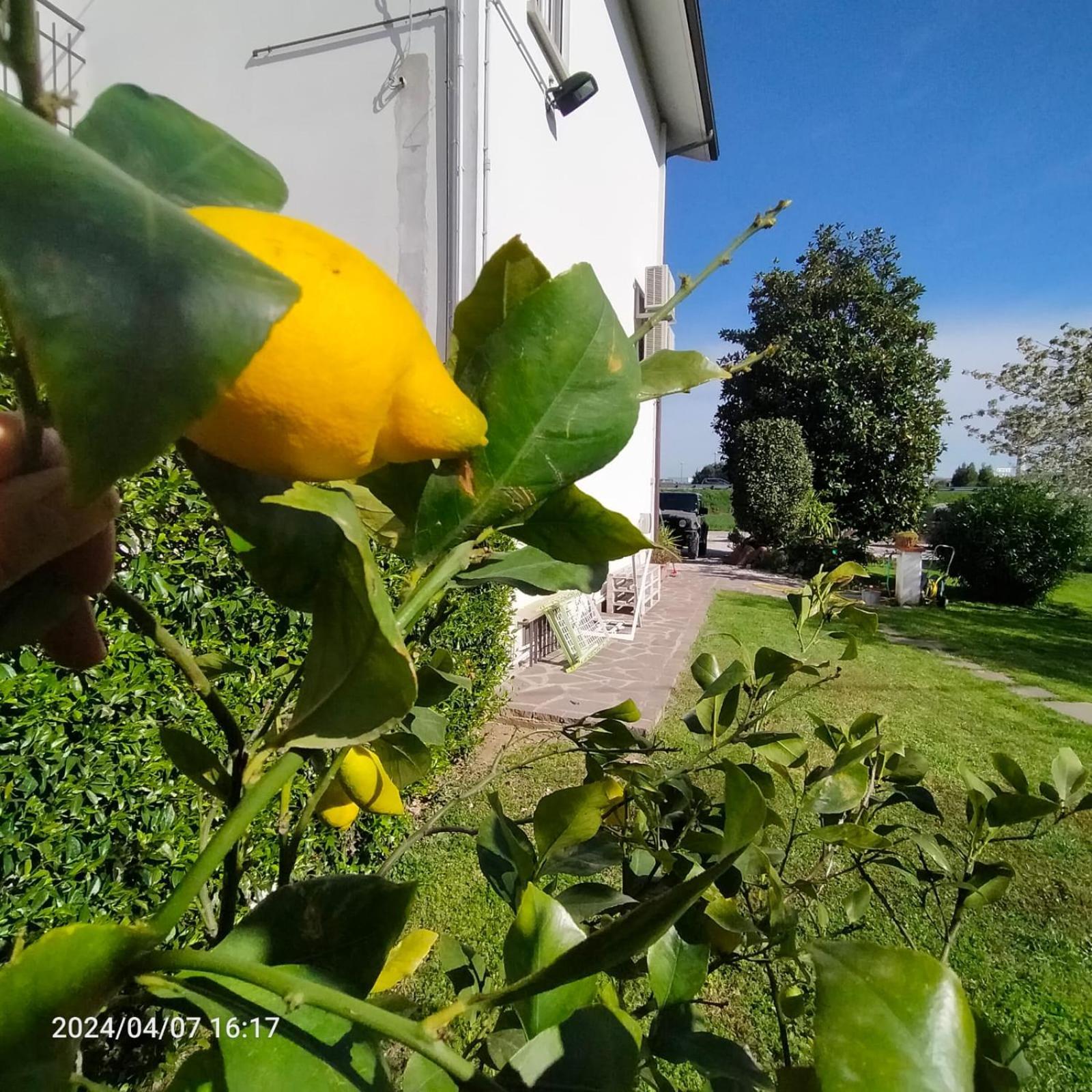 Bed and Breakfast La Magnolia - Fano Zewnętrze zdjęcie