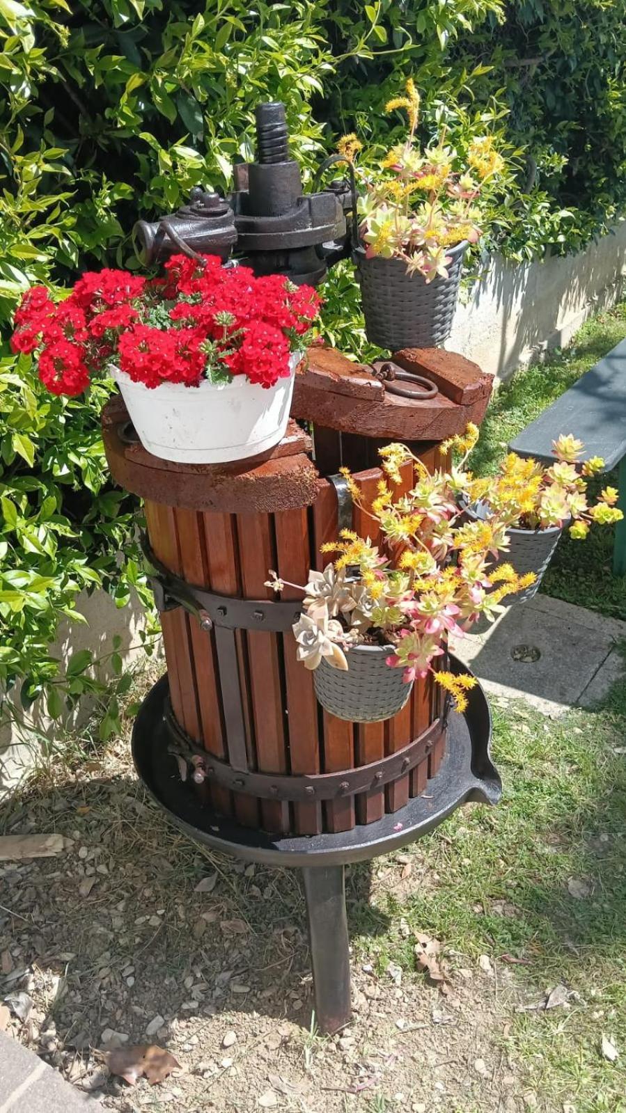 Bed and Breakfast La Magnolia - Fano Zewnętrze zdjęcie
