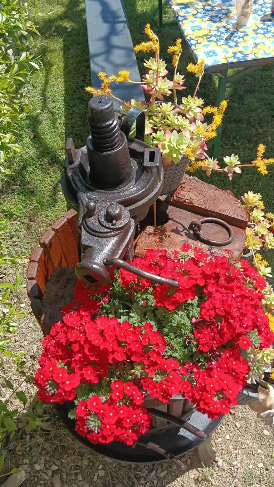 Bed and Breakfast La Magnolia - Fano Zewnętrze zdjęcie